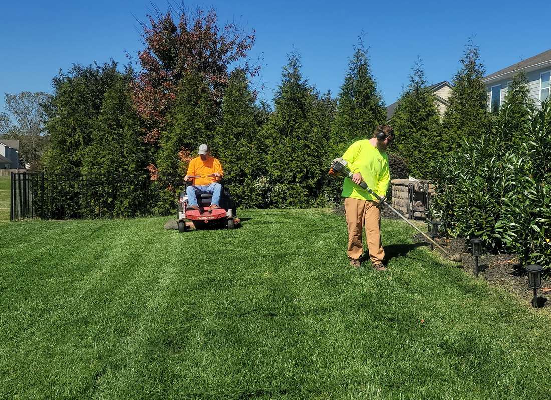 Overgrown grass cutting service
