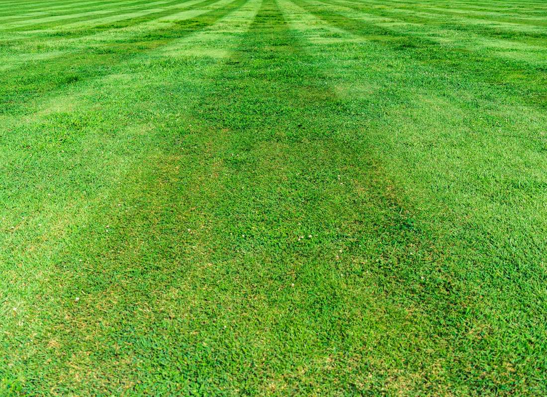 Freshly mowed lawn in Wilmington NC
